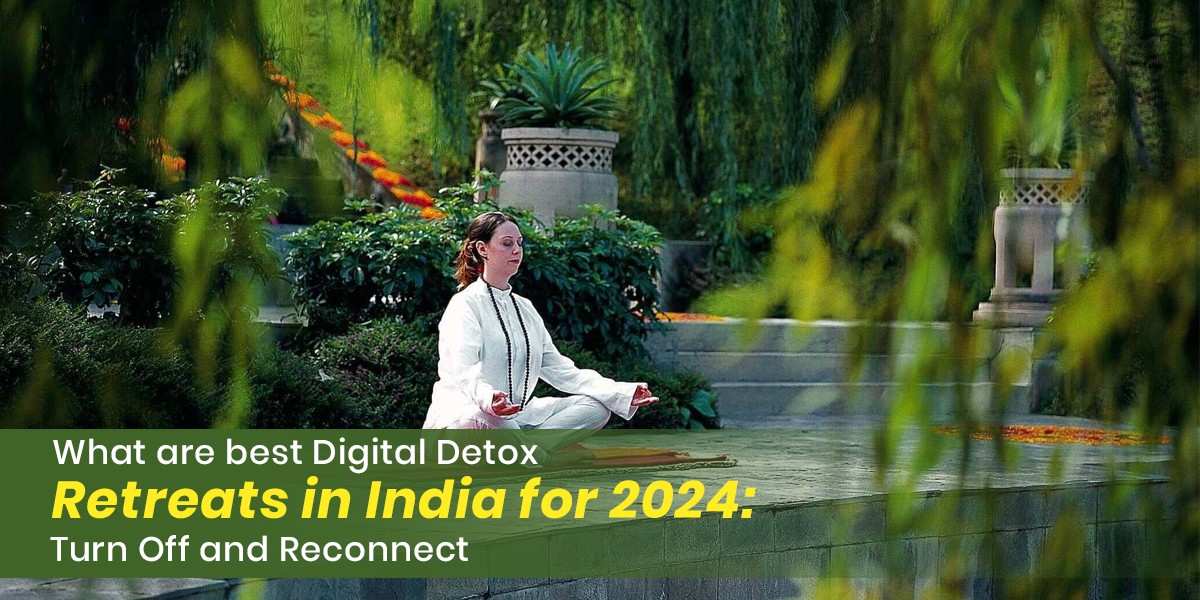 what-are-best-digital-detox-retreats-in-india-for-2024-turn-off-and-reconnect